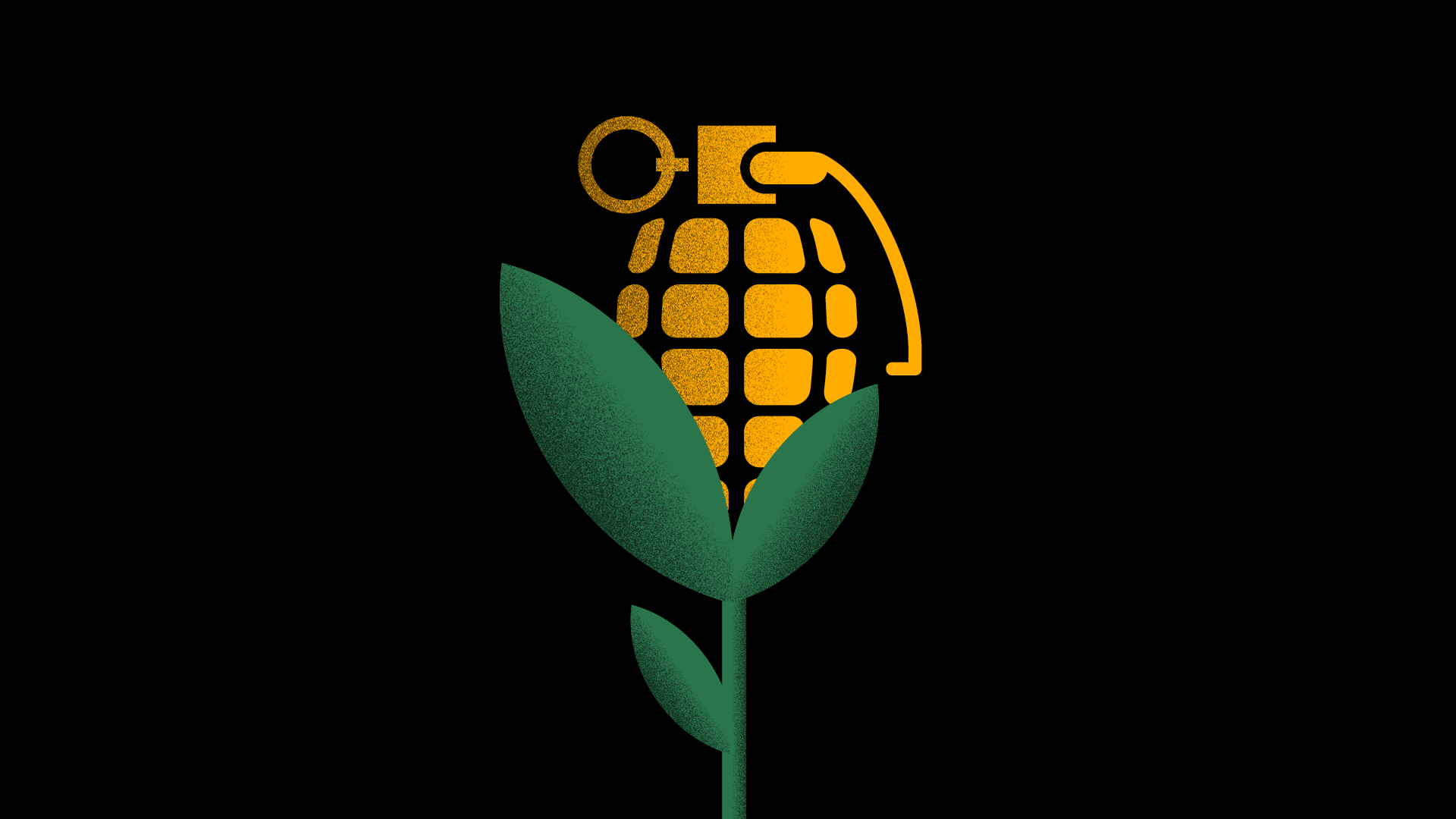 Insight Video Food or War?